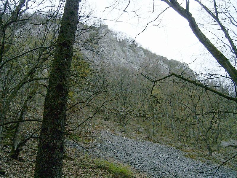 2012.04.14. 0076.jpg